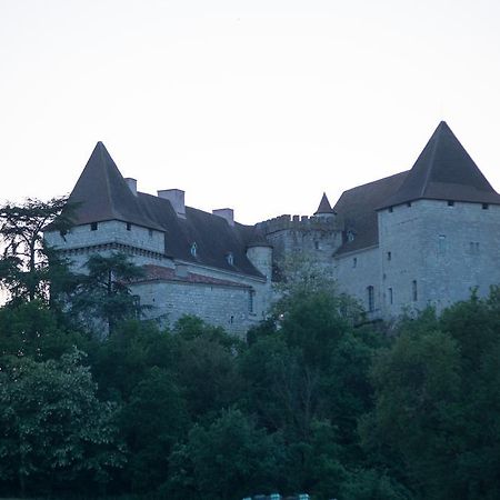 Ch\u00E2teau de Goudourville Villa Eksteriør billede